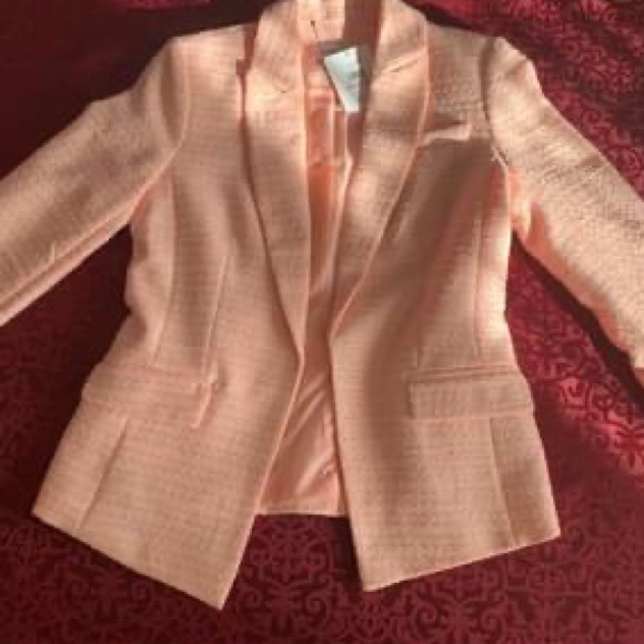 Brand New Calvin Klein Pink Blazer - Picture 3 of 3